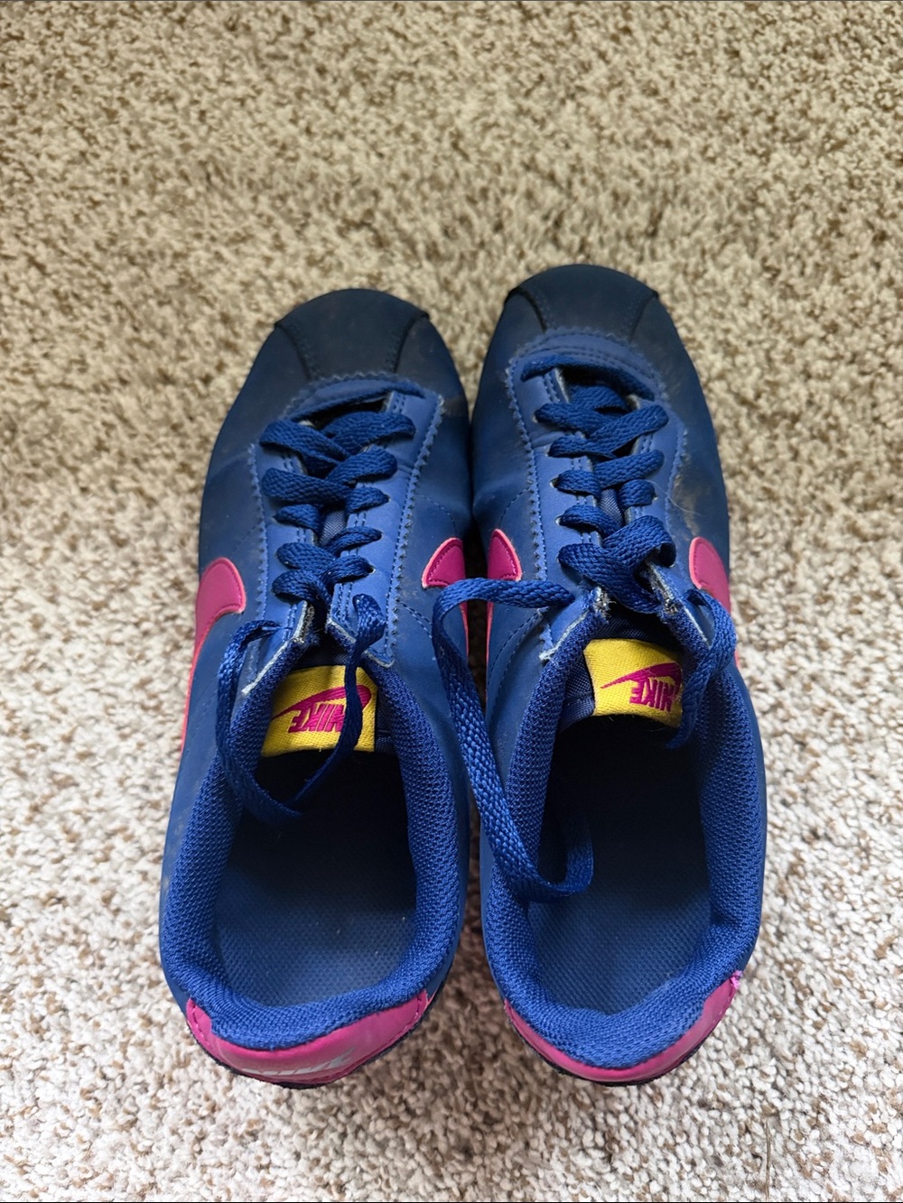 Nike Women’s' Blue & Pink Low-Top Sneakers